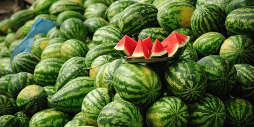 娱乐吃瓜场地图片真实,一场视觉与味蕾的双重盛宴